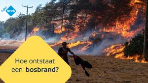 foto van een bos dat in brand staat.