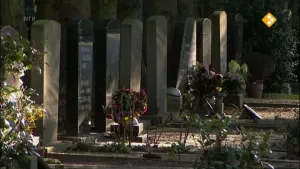 Risico en verzekeren