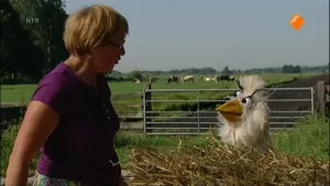 Op de boerderij