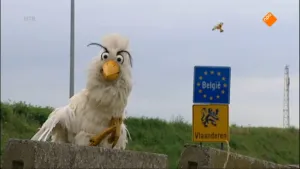 Raaf in België (deel 1)