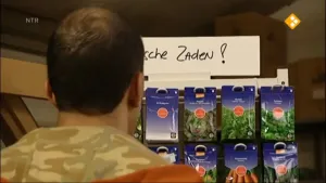 Spruitjes of spinazie