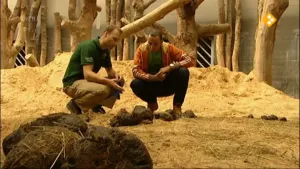 Dieren en hun drollen