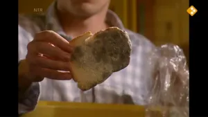 Schimmels op je brood