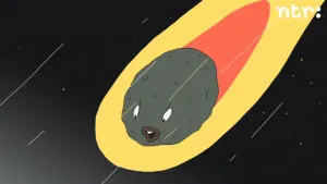 Wat is een vallende ster?