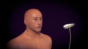 Één van je zintuigen