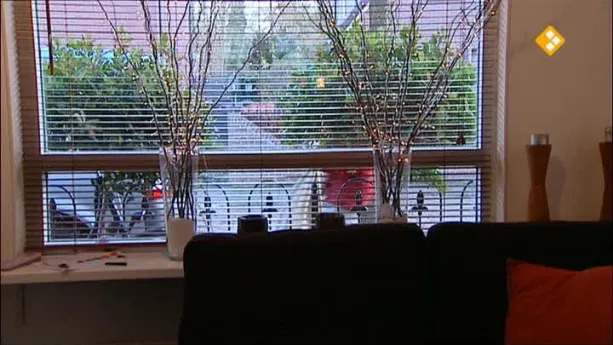 Nieuws uit de natuur | Schooltv