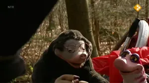 Opgeruimd staat netjes