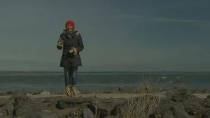 De watersnoodramp van 1953