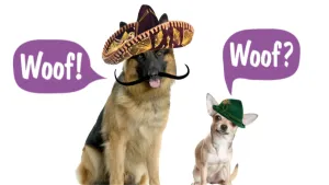 Is hondentaal universeel?