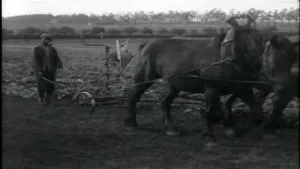 Hoe was het vroeger op de boerderij?