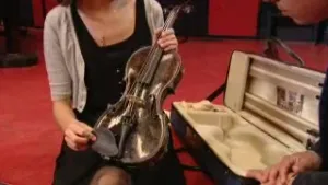 Wat voor instrument is de viool?