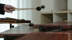 De marimba is een slagwerkinstrument