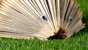 Knutsel uit HoelaHoep