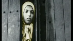 Als beesten in de trein