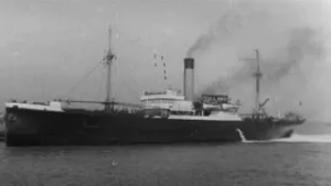 Vluchten voor de oorlog in Nederland