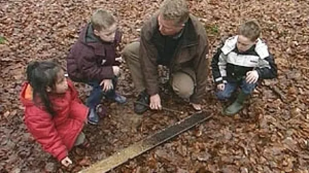 Welke kleuren zitten er in de grond?