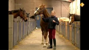 Mijn pony heet Nathalie