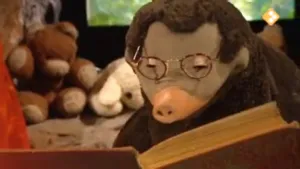 Een boek met een geheim