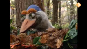 Een buik vol paddenstoelen