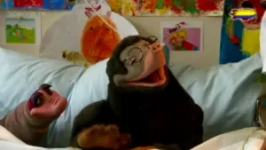 Nee zuster, ja zuster