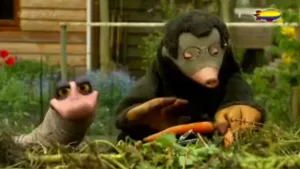 Tomaten aan een takje