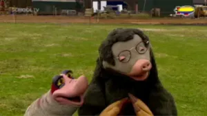 Gras, gras en nog eens gras