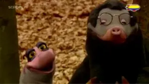 Kruipdoor, sluipdoor