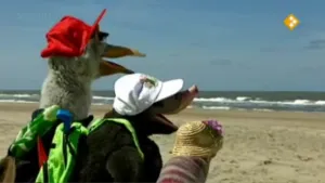 Komkommaar in de zon