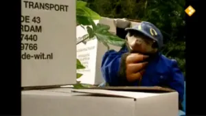 Een huis in de lucht