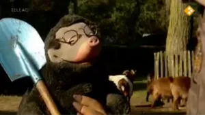 Ik wilde dieren zien