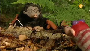 De één kan dit, de ander dat