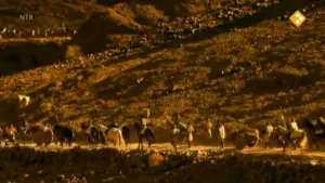 De kruistochten: God wil het