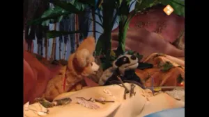 18. Jas is geen reus