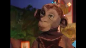 8. Aap wijst de weg naar Zuiderland