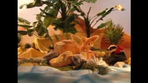 30. Zingende schelpen aan zee