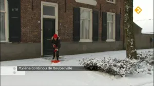 Opstand tegen de koning