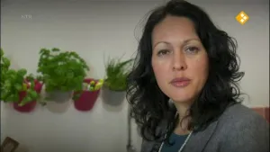 Nieuwe machines en ontdekkingen