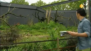 Klimaatzones van de wereld