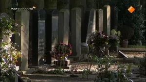 Risico en verzekeren