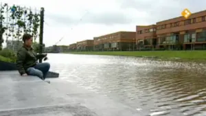 Migratie binnen de Nederlandse grenzen