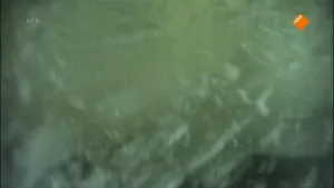 Auto te water