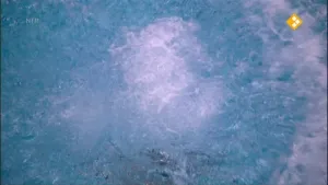 Schoonspringen
