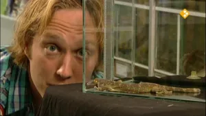 Nano - Gekko