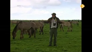 Oostvaardersplassen