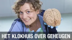 Geheugen