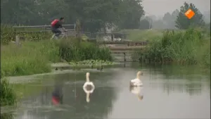 Hoog en laag Nederland