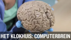 Computerbrein