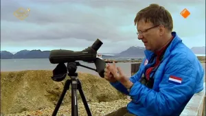 De trek van de brandgans