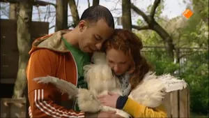 Verhuizen en afscheid nemen