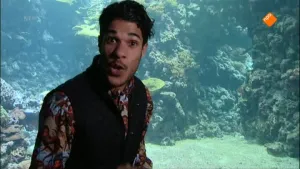 Zeequarium
